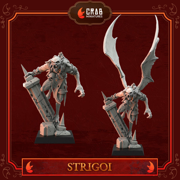 Strigoi Furieux
