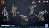 Veteran Orcs
