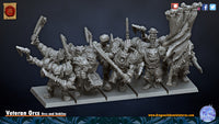 Veteran Orcs