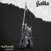 Chevaliers Errants