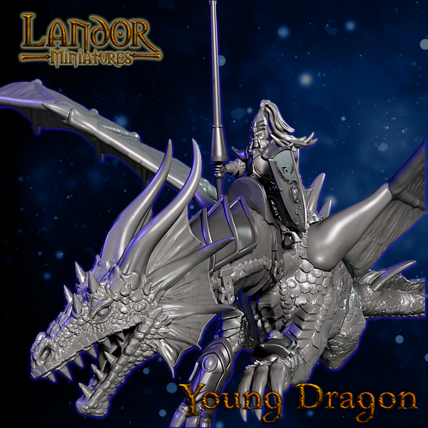 Prince on Moon Dragon