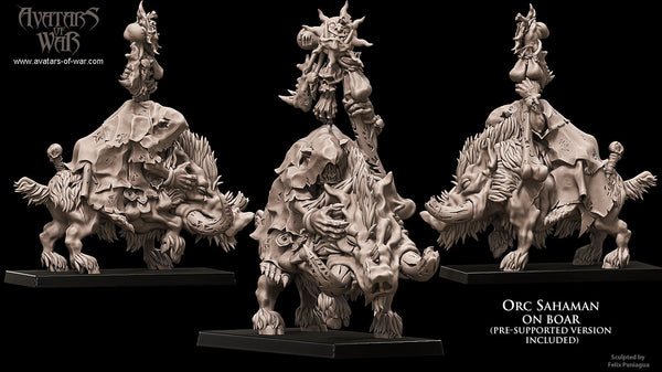 Chaman Orc sur Sanglier