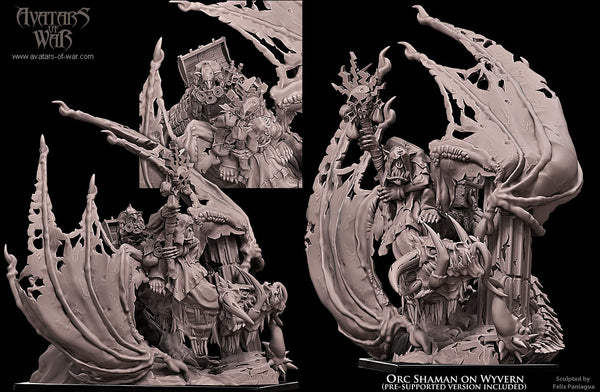 Chaman ork sur Wyverne
