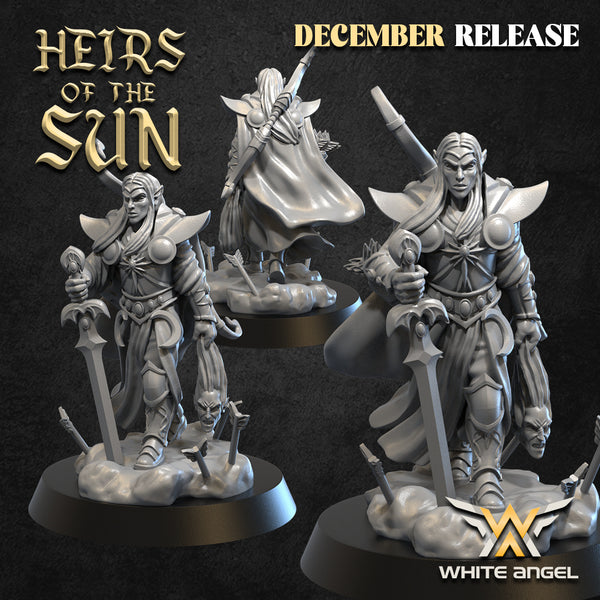 High Elf Hero