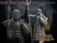 Lanciers Hauts Elfes