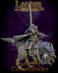 Commander Elfe Noir