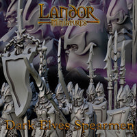 Lanciers Elfes Noirs