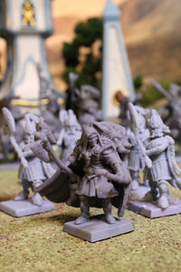 Commandeur Lion Blanc