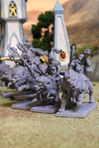 Chevaucheurs de Lions