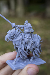 Chevaliers de la mort