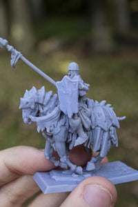Chevaliers de la mort