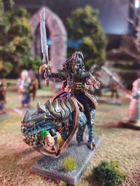 Commander Elfe Noir
