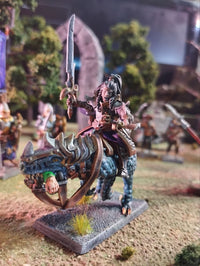 Commander Elfe Noir