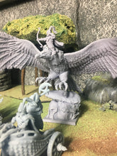 Charger l&#39;image dans la galerie, Noble sur Grand Aigle
