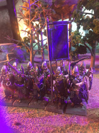 Epéistes Elfes Noirs