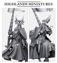 Load image into Gallery viewer, Sir Jaime Duke of Equitaine
