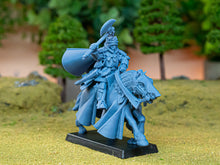 Load image into Gallery viewer, Sir Robert of Gallia
