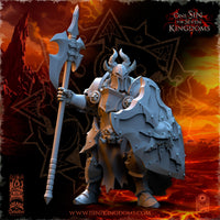 Guerriers du Chaos de Mayhem