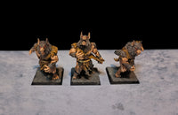 Boite d'armée Loups du Nord