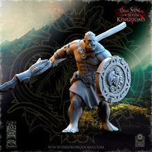 Charger l&#39;image dans la galerie, Guerriers Orcs de Salanaar
