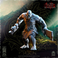 Charger l&#39;image dans la galerie, Guerriers Orcs de Salanaar
