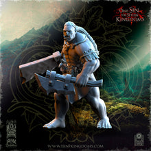 Charger l&#39;image dans la galerie, Guerriers Orcs de Salanaar
