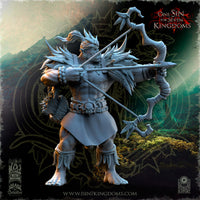 Archers Ork de Salanaar