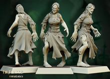Load image into Gallery viewer, Zombies Paysans
