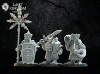 Immortal Infantry Chaos Dwarves