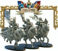 Chevaliers du Graal