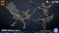 Paladin sur Hippogriffe
