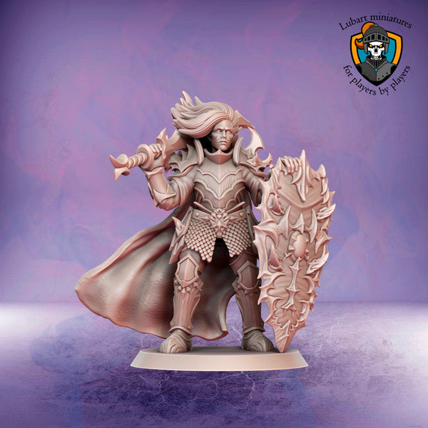 Dark Elf Dynast