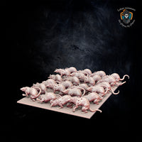 Rats géants