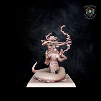 Meduse