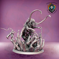 Kraken
