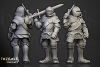 Chevaliers du Sundland a pieds