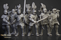 Chevaliers du Sundland a pieds
