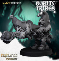 Lances pierres Gobelins