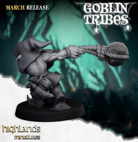 Lances pierres Gobelins