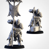 Ogres tribaux