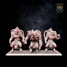 Charger l&#39;image dans la galerie, Rats ogres
