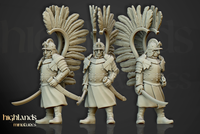 Guerriers Hussards