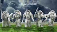 Knights Templar