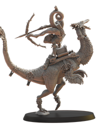Heros chevaucheur skink
