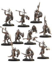 Charger l&#39;image dans la galerie, Skinks
