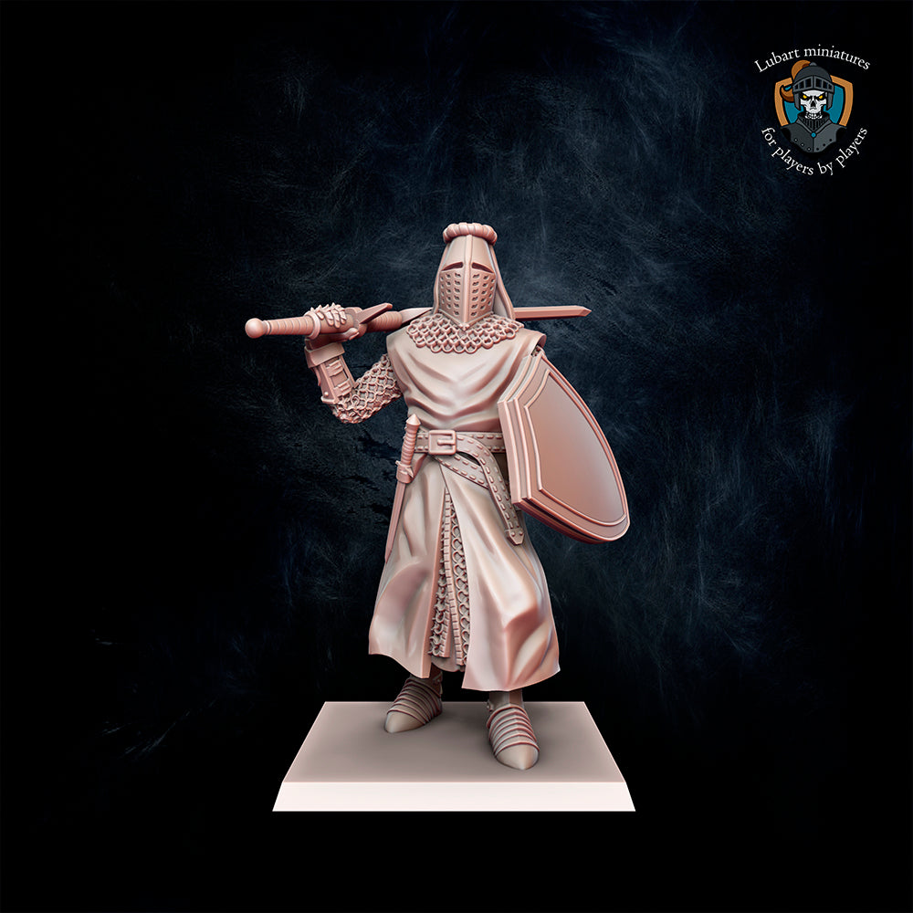 Paladin d'Equitaine