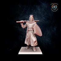 Paladin d'Equitaine