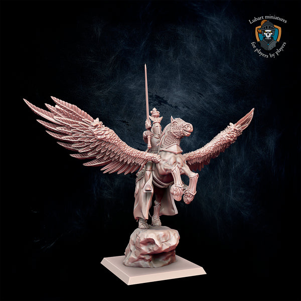 Paladin d'Equitaine