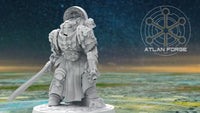 Knight Templar Champion