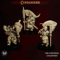 Commandeur Nain